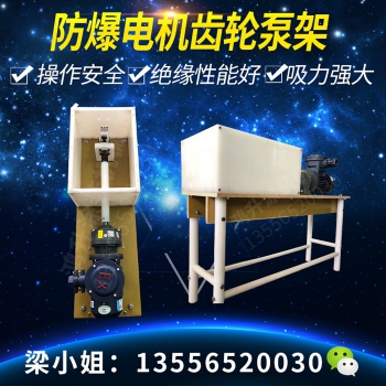 防爆電機齒輪泵組 (3)