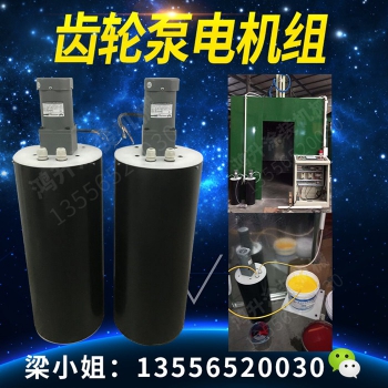 水性漆電機齒輪泵組