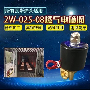 2W燃?xì)怆姶砰y